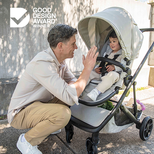 B-POD Low Birth Weight Baby Capsule