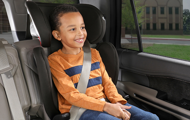 E1C269H Skyline Booster Dusk PH