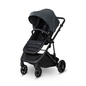 Strider Mini Signature Black Gum