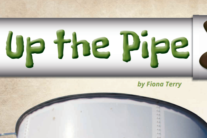 Cover image of "Up the Pipe"