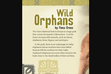 Hero image for Wild Orphans