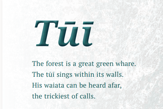 Cover image of "Tūī"