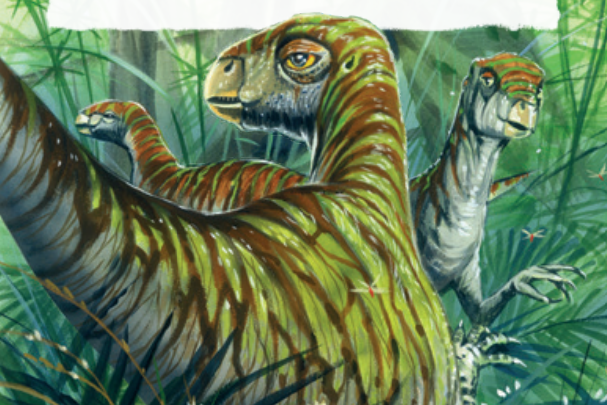 Illustration of three Dinosaurs walking in the bush