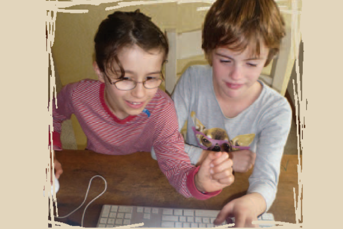 A young boy and girl researching on a computer how to take care of chickens.