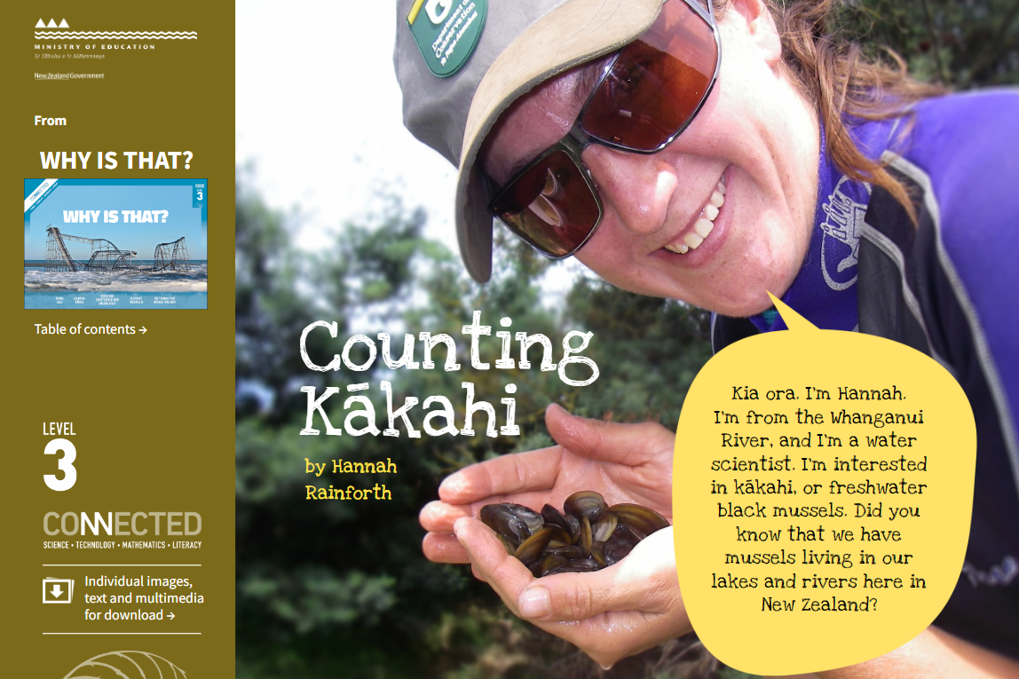 Cover image of "Counting Kākahi"
