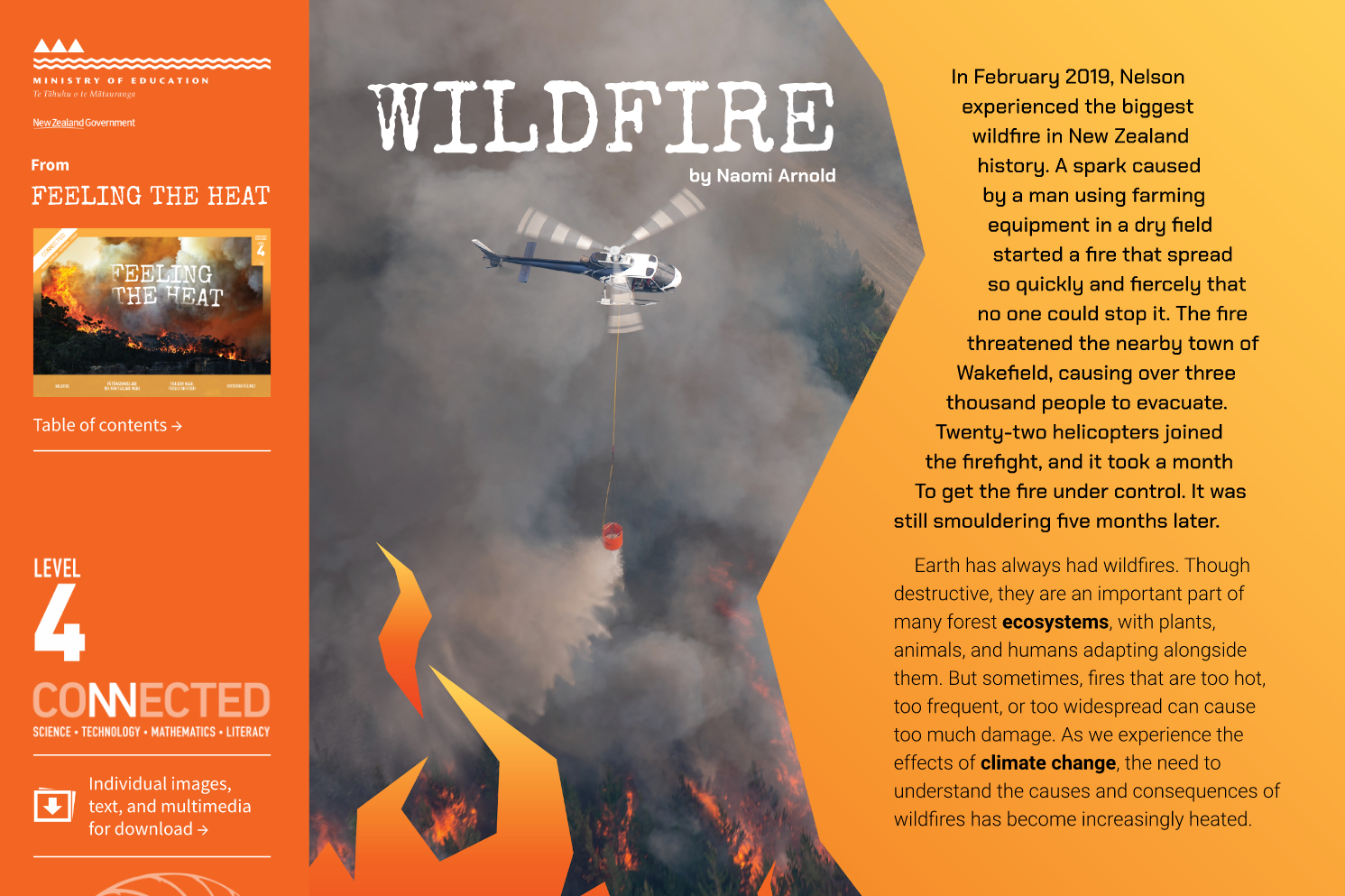 Cover image of "Wildfire"