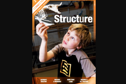 A boy holding up and observing a Chicken skeleton