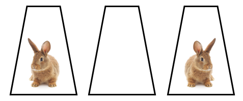 Three cups. One is empty and two are hiding rabbits.
