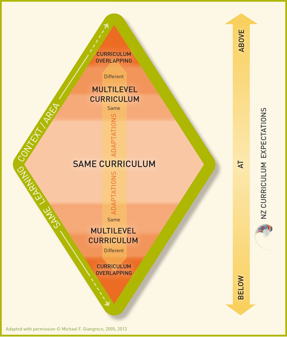 Figure 5: Differentiation within the classroom curriculum