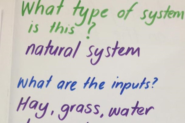 Writing on whiteboard 'What type of system is this? natural system'