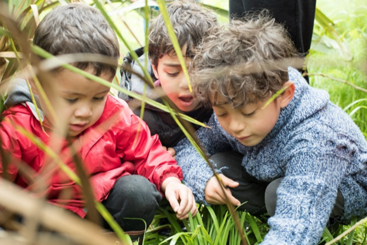 Three children kneeling in long grass