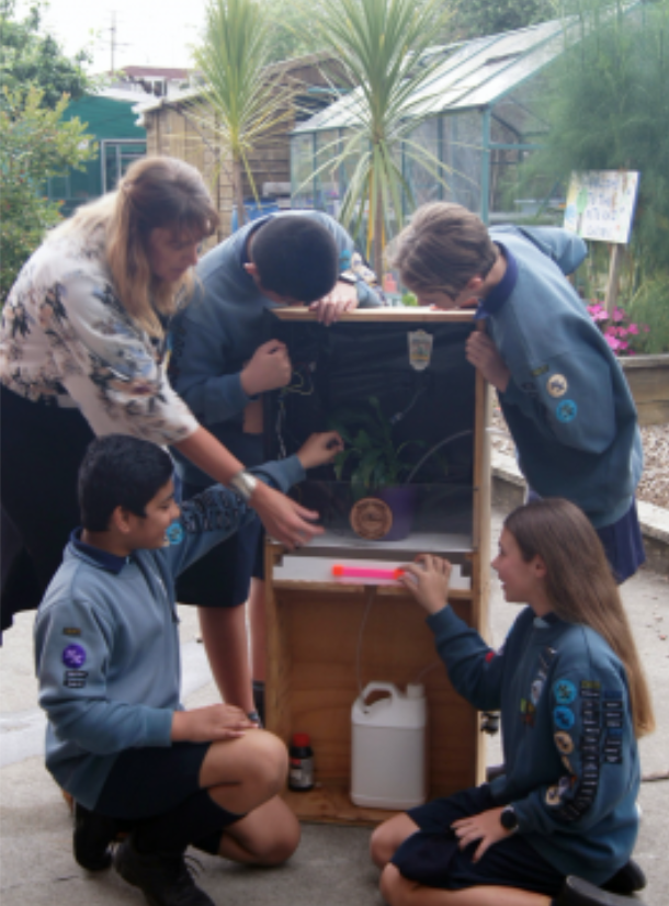 Students look at their self-watering plant system.