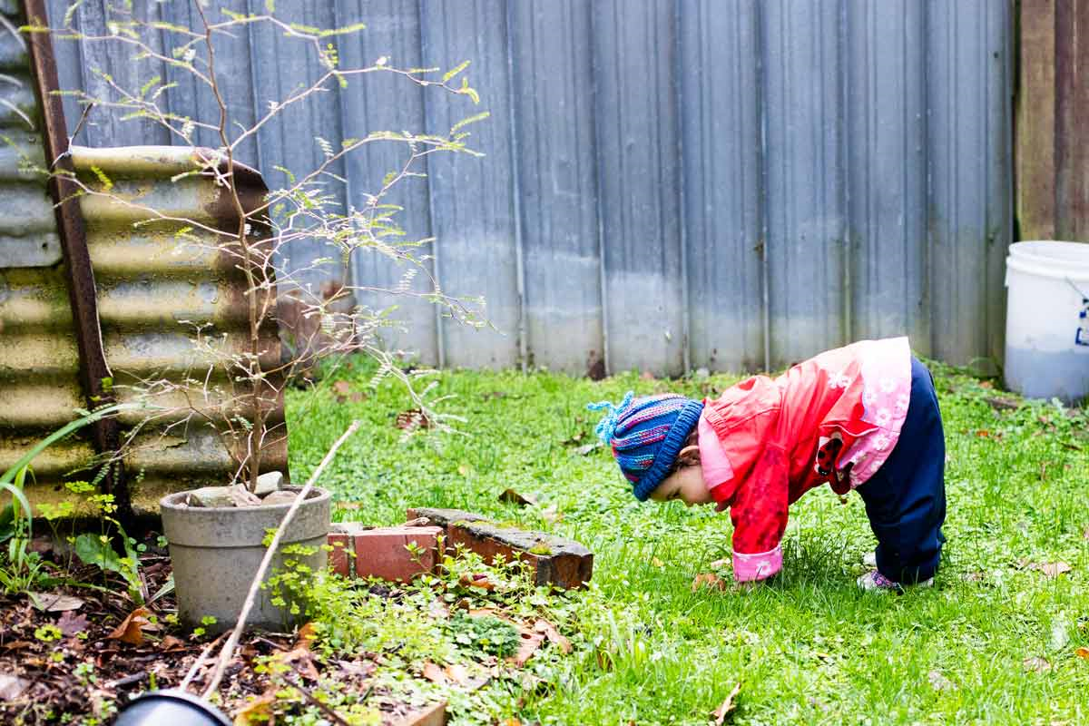 Small child playing in a garden 