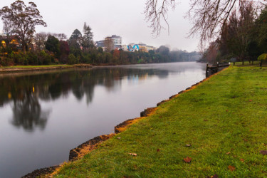 The bank of the Waikato river.