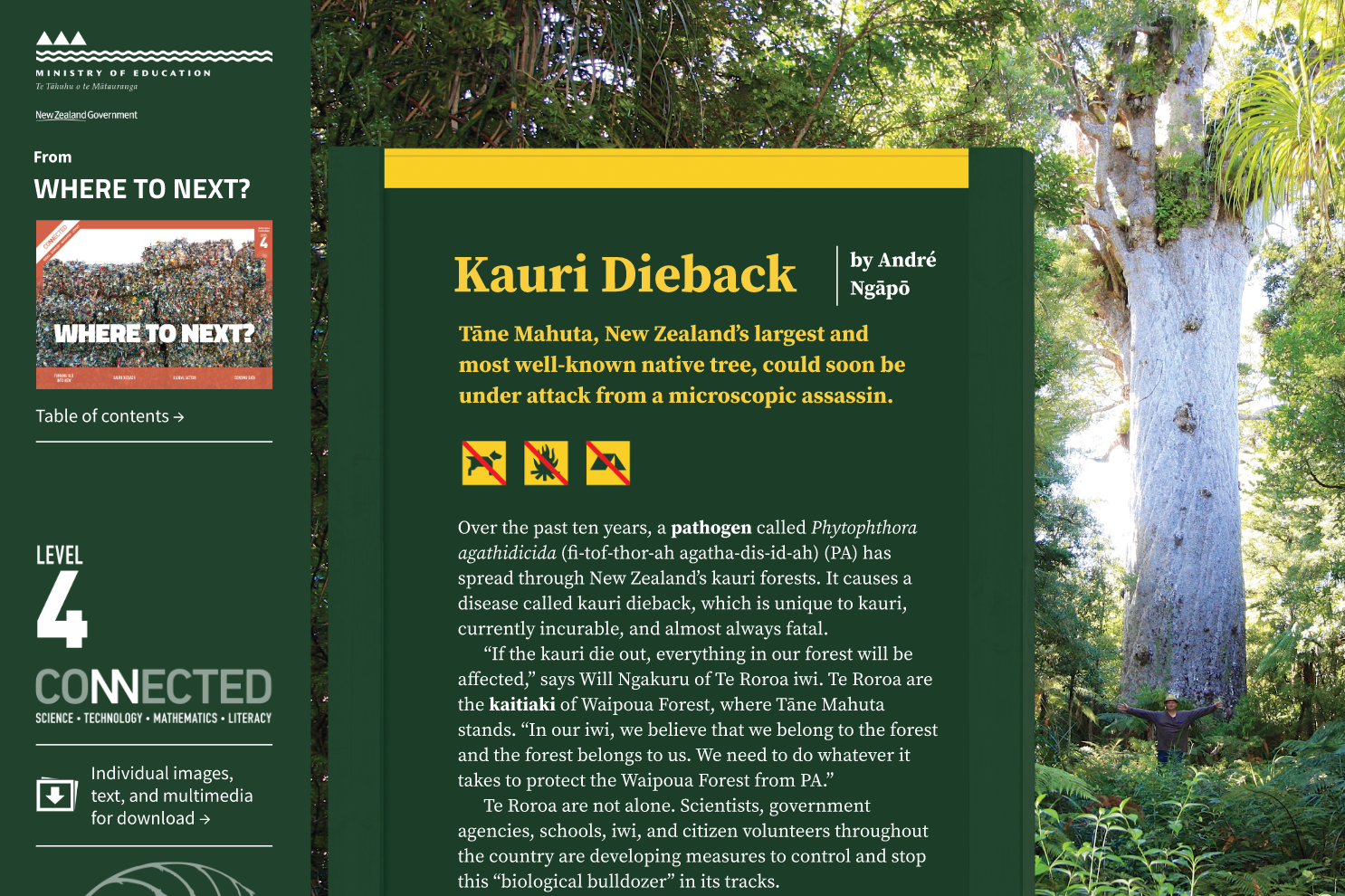 Cover image of "Kauri Dieback"