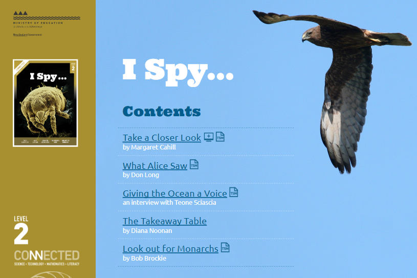 I Spy contents list with an image of an eagle mid flight