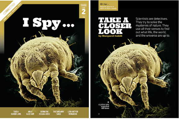 Image for Take a Closer Look January 2013