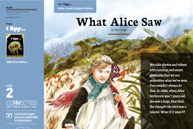 Image for What Alice Saw January 2013
