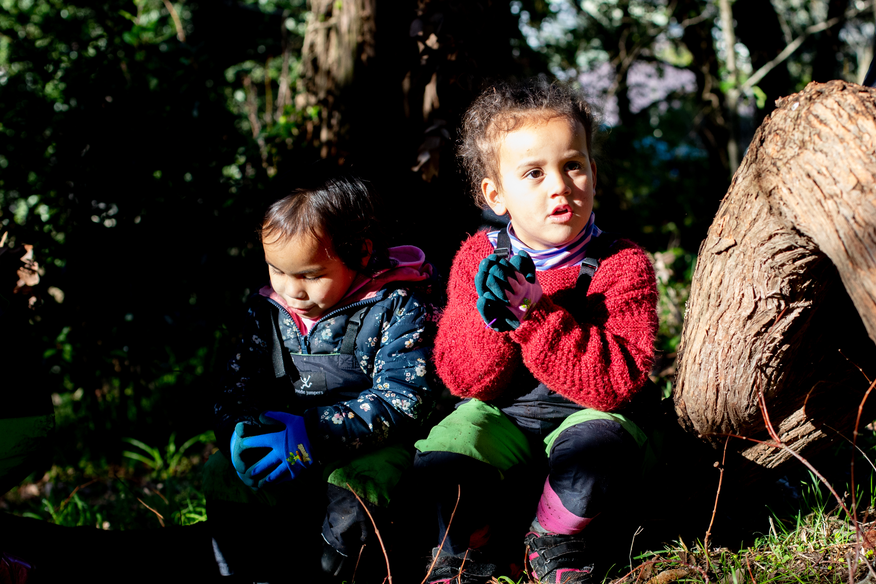 Two children in the outdoors learning about kaitiakitanga by a tree log