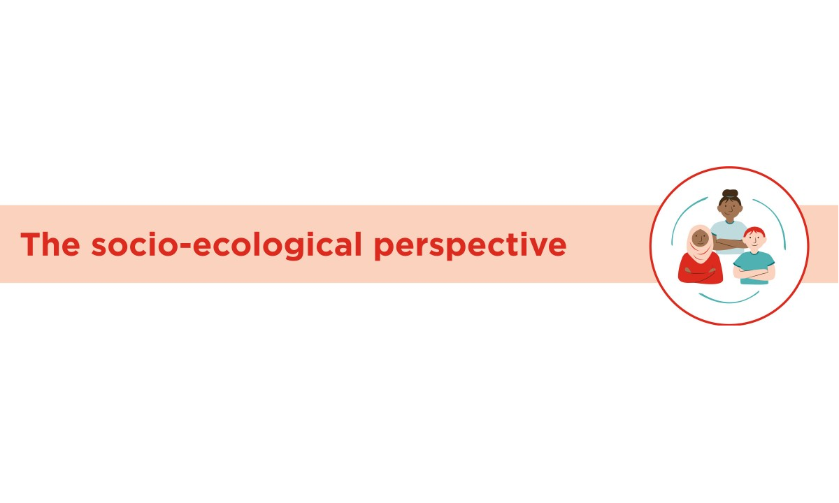 Banner containing the title Socio-ecological perspective.