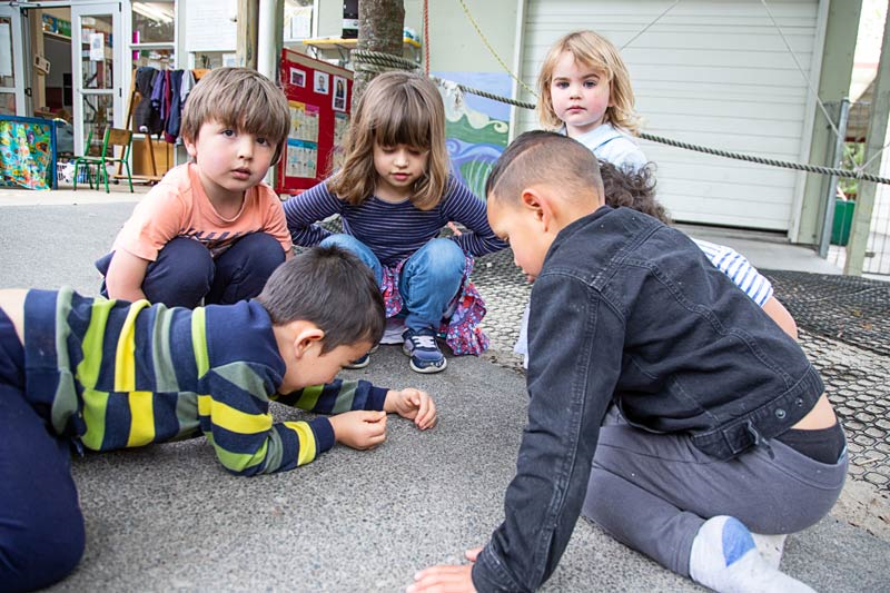 A group of tamariki talking together while looking at a spider on the path.