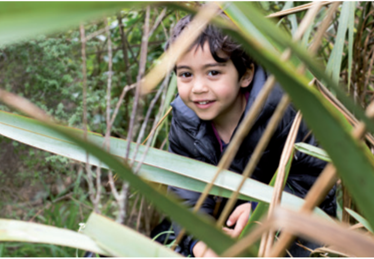 Child sitting in harakeke/flax