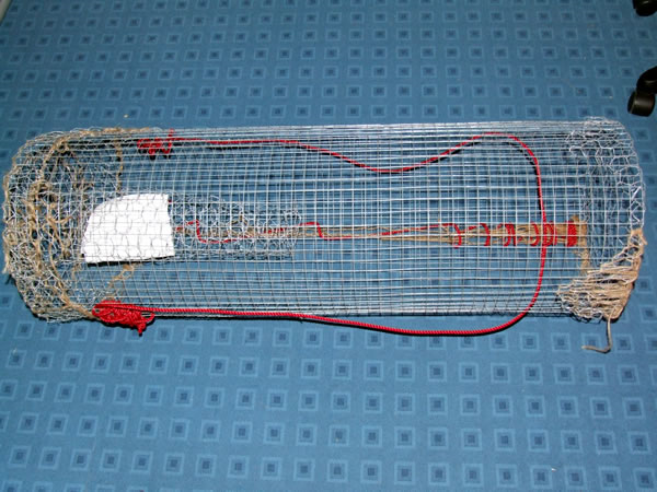 A hīnaki (eel trap) made by the students