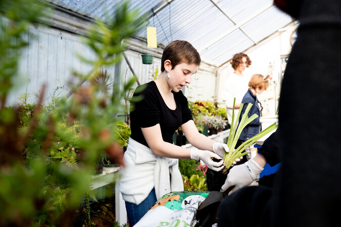 Ākonga repotting trees in a glasshouse.