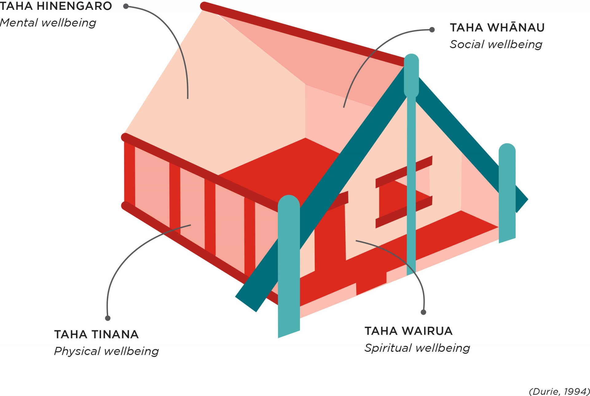 Hauora