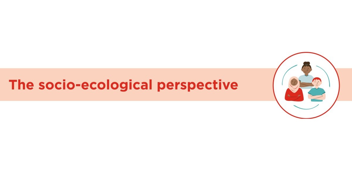 Banner titled The socio-ecological perspective banner.