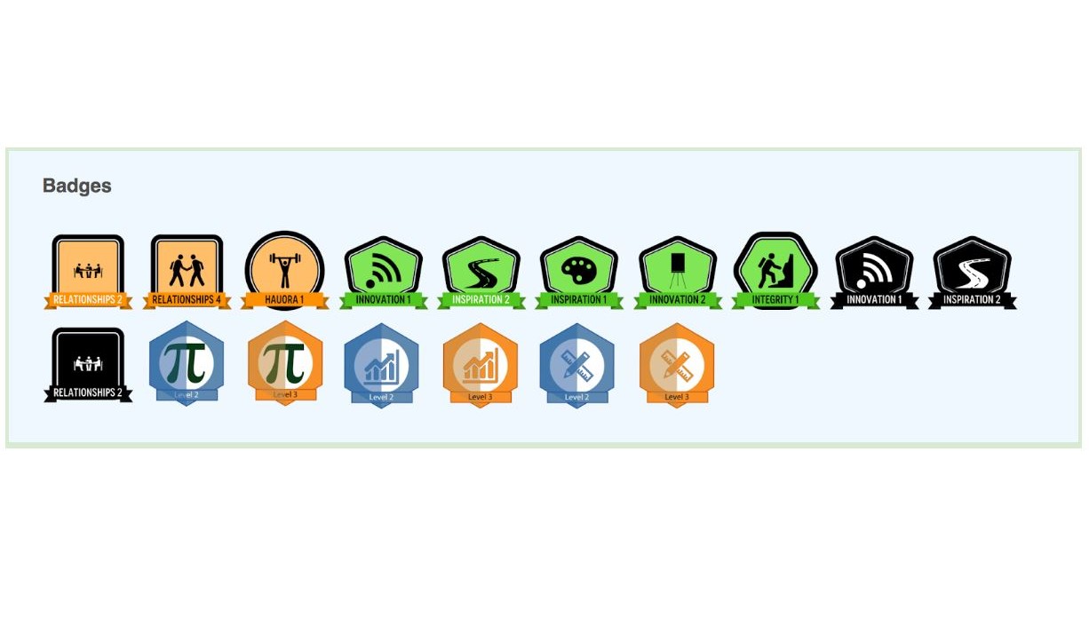 Screenshot showing all of Ormiston School’s digital learning badges.