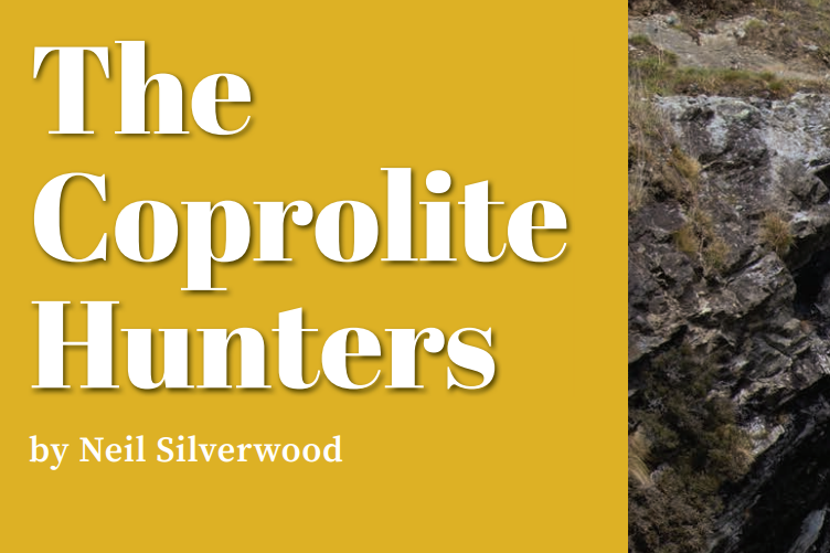 Hero image for The coprolite hunters.