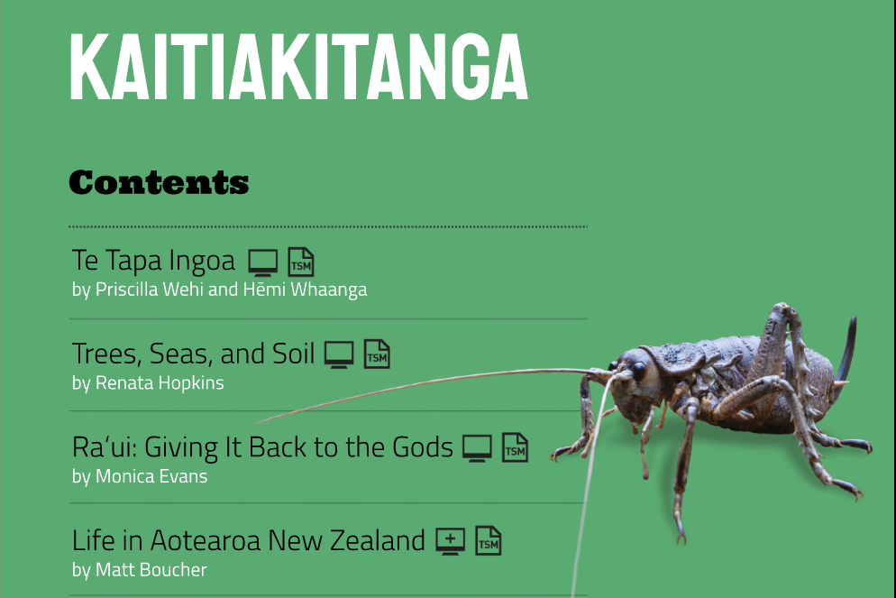 Cover image of "Connected 2020 Level 3 - Kaitiakitanga"