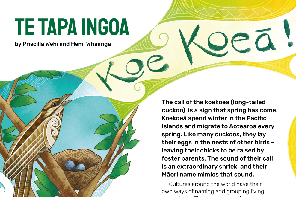 Cover image of "Te Tapa Ingoa"