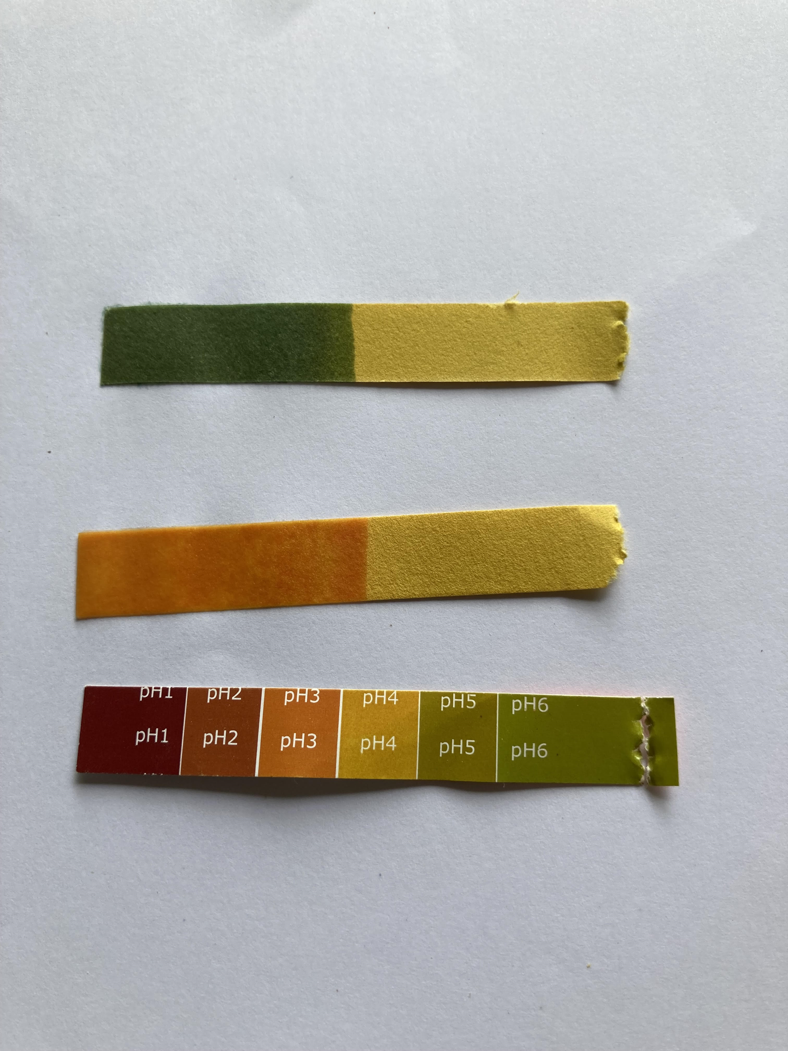 Three pieces of litmus paper, in different colours