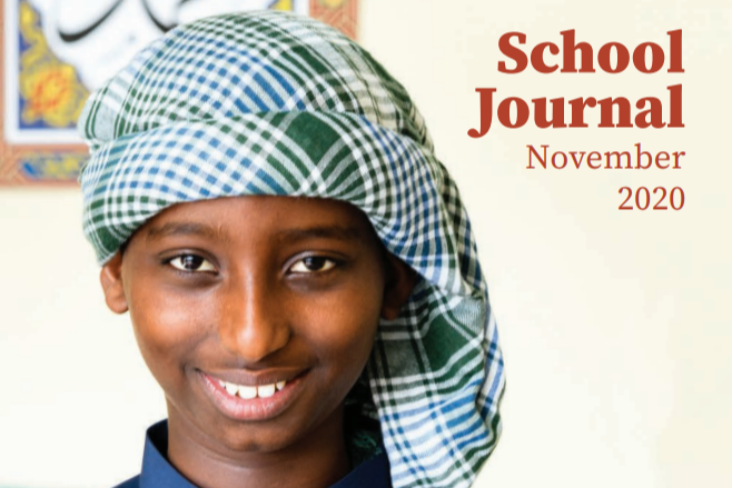 Cover image of School Journal Level 3 November 2020 