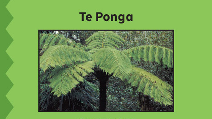 Te Ponga