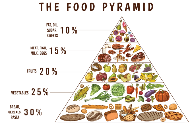 Drawing of the food pyramid. 30% carbs, 25% vegetables, 20% fruit, 15% dairy, meat and fish, 10% fats, oils and sugar. 