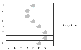 A grid depicting a cowpat trail. 