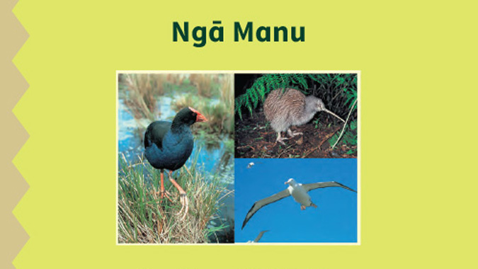 Ngā Manu