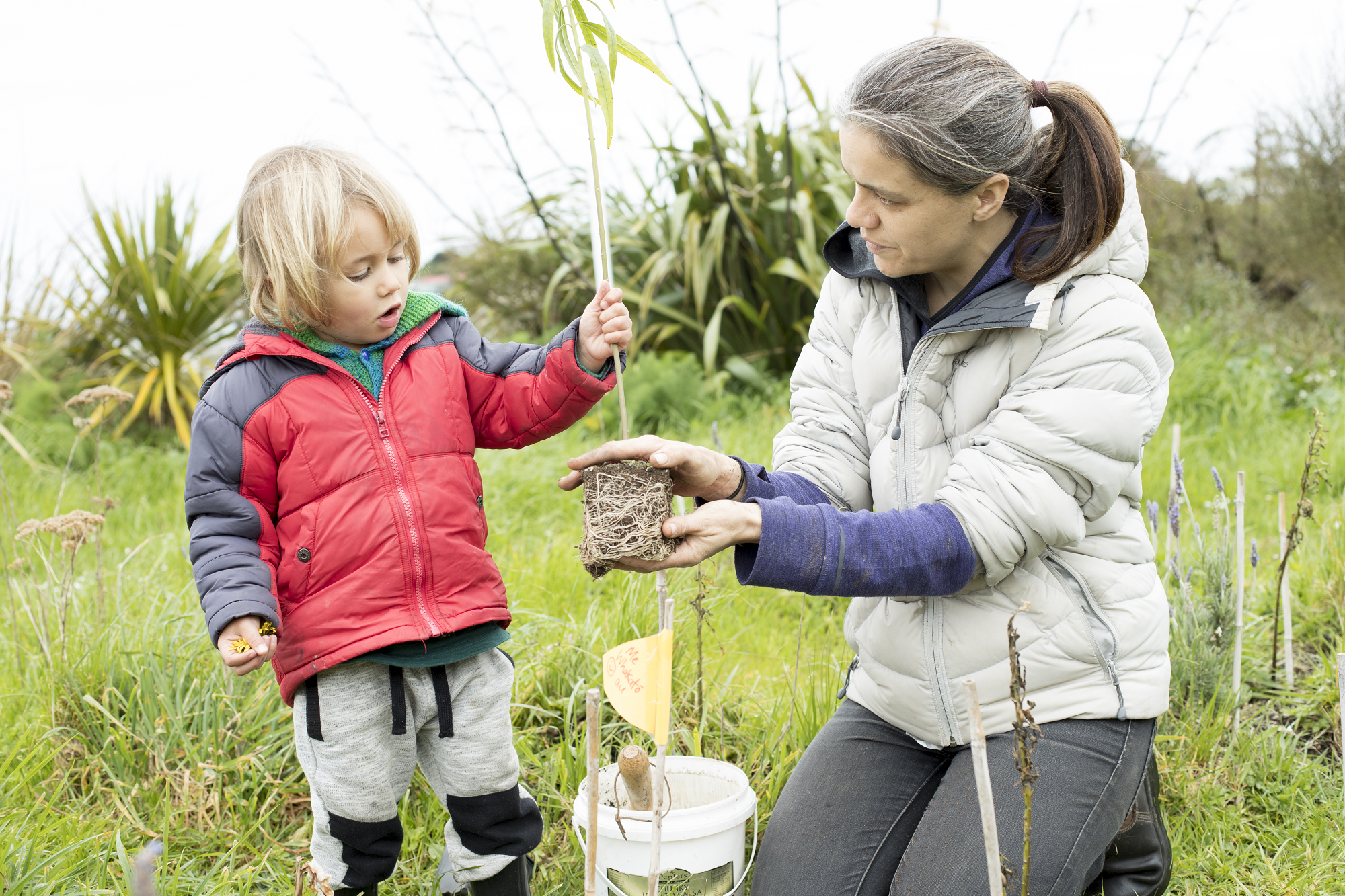 Kaiako planting a tree with a tamariki.