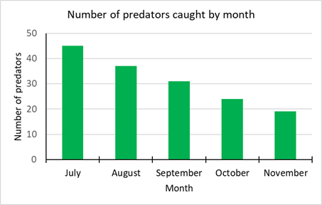 Predator free Aotearoa
