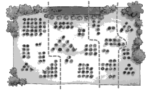 A view of a crowd from above, splitting up the people into four sections.