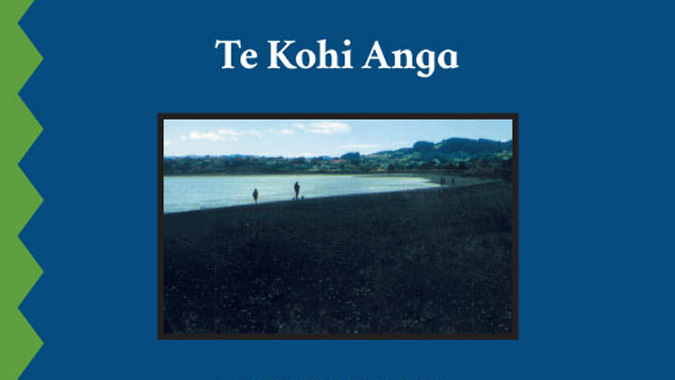 Te Kohi Anga