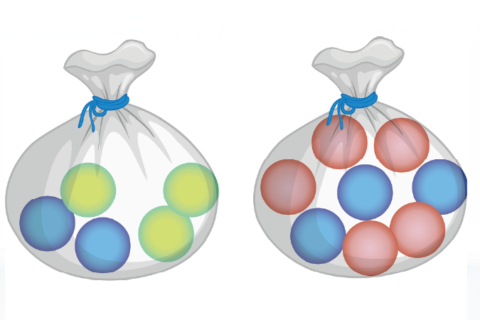 Two tied bags, One bag with five coloured balls inside and the second bag with eight coloured balls inside.