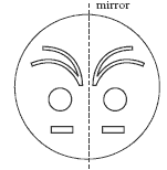 Circle with a line down the middle representing a mirror line. 