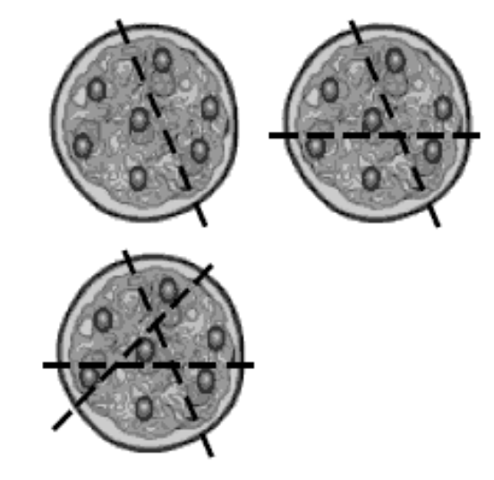 Three pizzas with an increasing number of lines on them, which eventually separate the olives into an olive per slice.