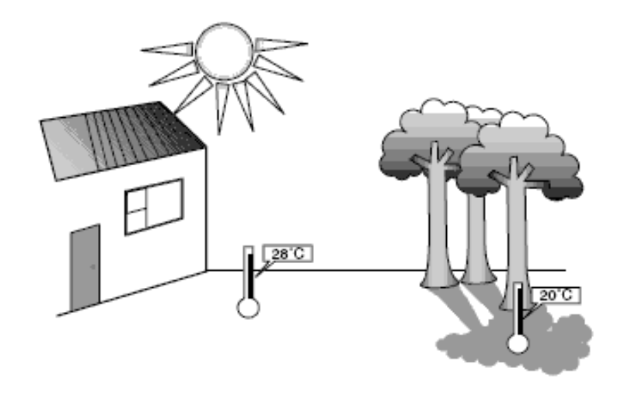 Illustration of the sun shining down on a house and trees. Under the shade of the tree a thermometer reads 20° and outside the shade a thermometer reads 28°. 