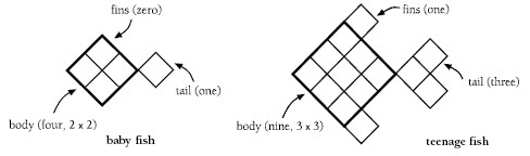 Two sets of squares arranged in the shape of a fish, labelled baby fish and teenage fish.