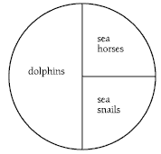 A circle diagram that is divided up into segments representing dolphins, sea horses and sea snails.